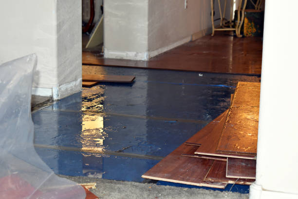 Professional Water Extraction technician working in Harrison, MI